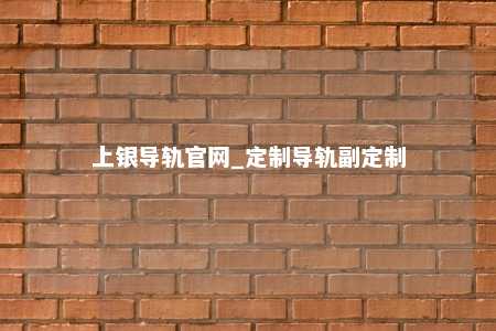 上银导轨官网_定制导轨副定制