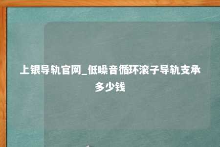 上银导轨官网_低噪音循环滚子导轨支承多少钱