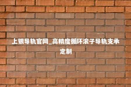 上银导轨官网_高精度循环滚子导轨支承定制