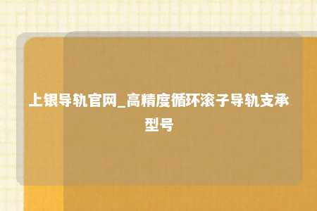 上银导轨官网_高精度循环滚子导轨支承型号