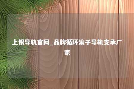 上银导轨官网_品牌循环滚子导轨支承厂家