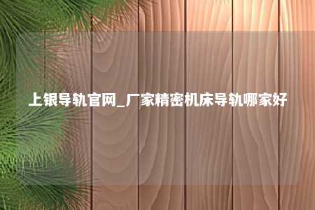 上银导轨官网_厂家精密机床导轨哪家好
