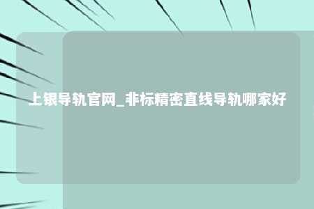 上银导轨官网_非标精密直线导轨哪家好